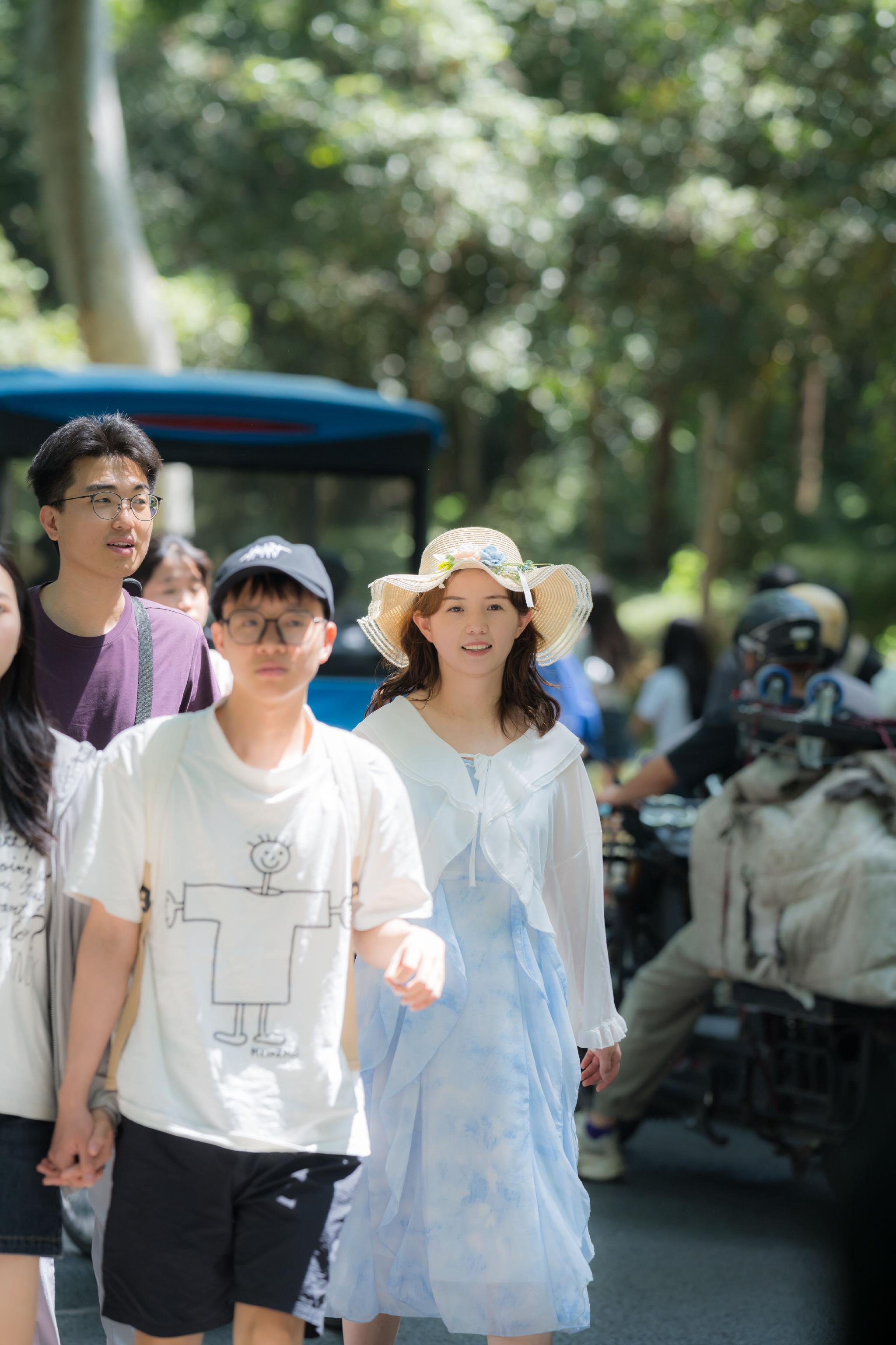 梧桐大道,拍照的人群