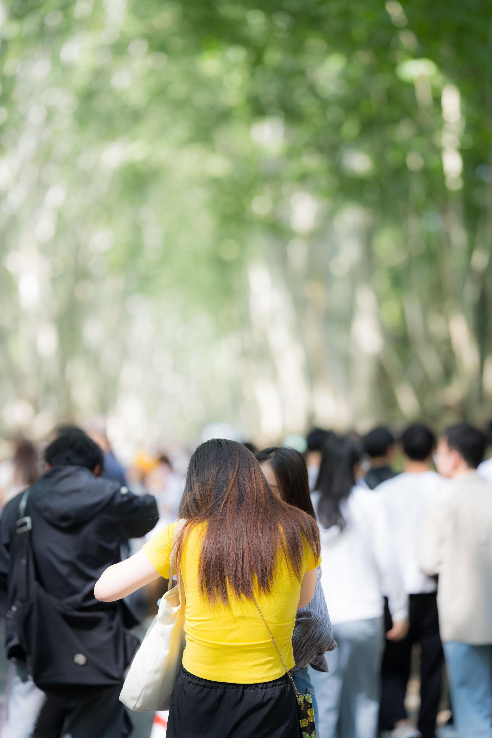 梧桐大道,拍照的人群