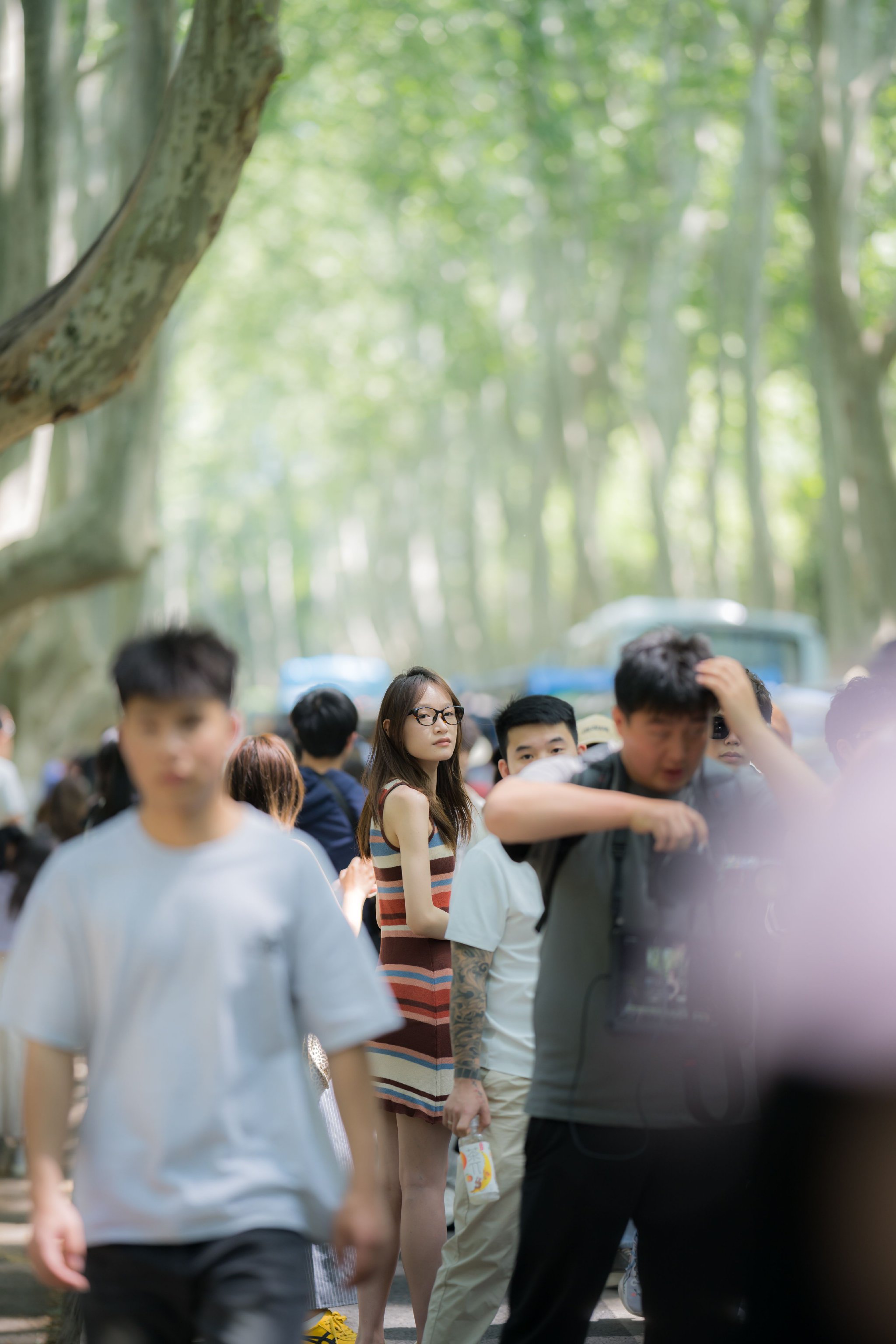 梧桐大道,拍照的人群