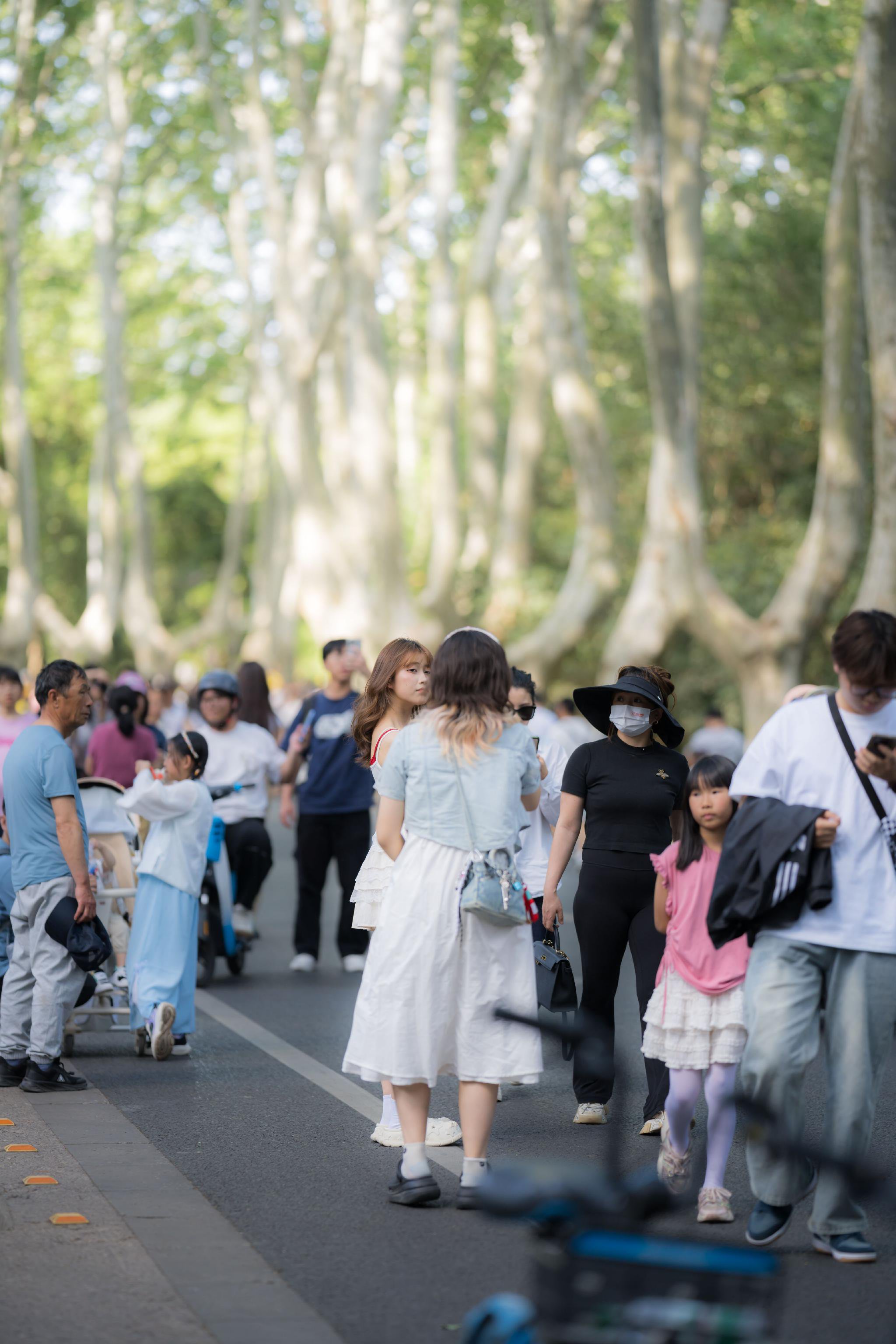 梧桐大道,拍照的人群