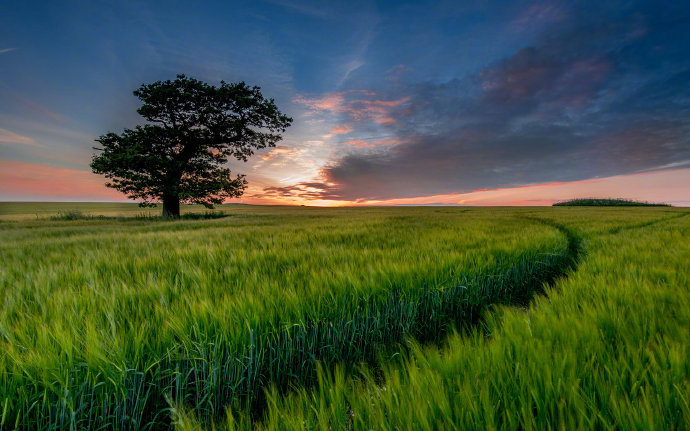 人生如梦,年华似水,一个转身便是一个光阴的故事