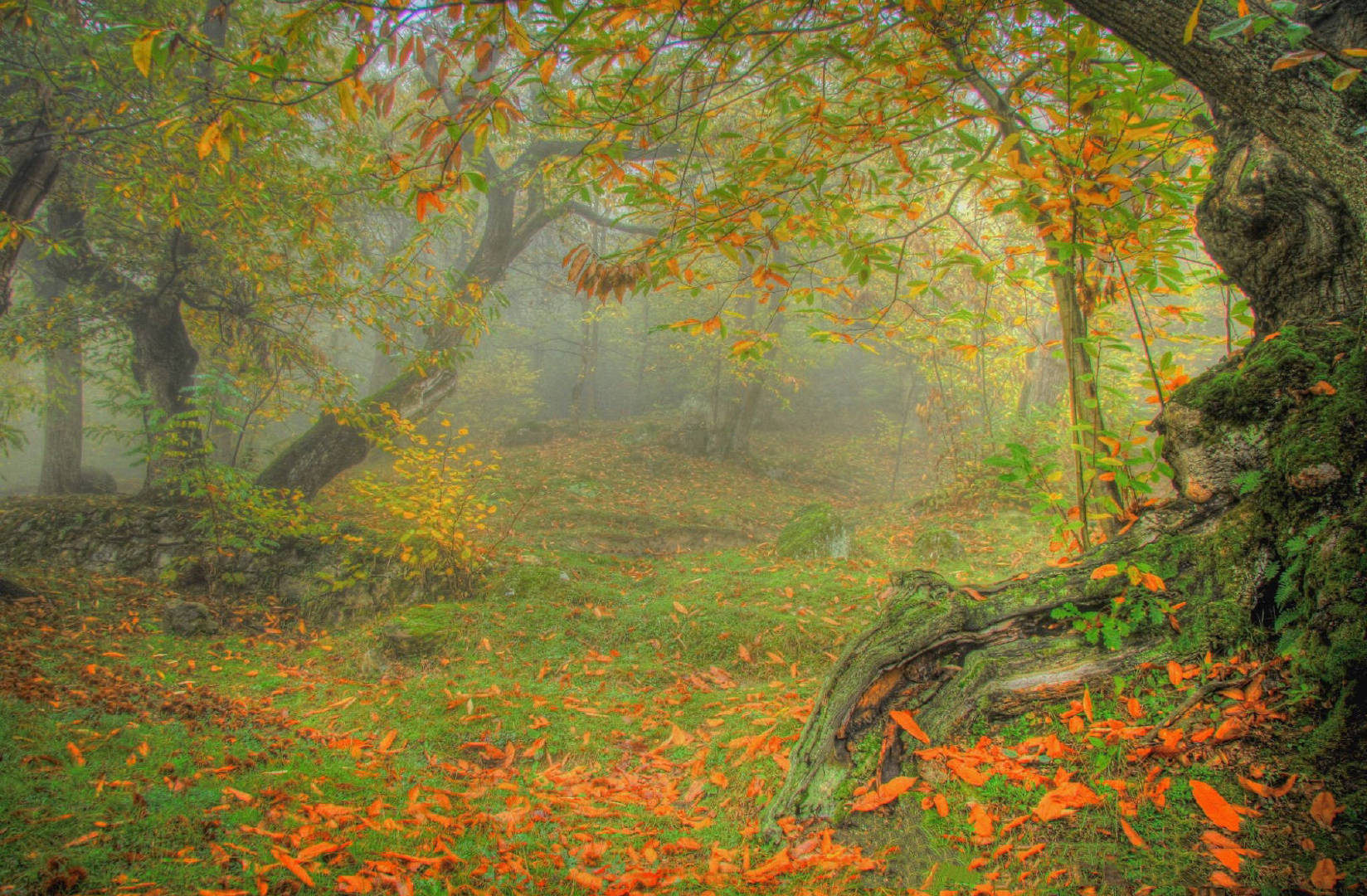 树树皆秋色山山唯落晖