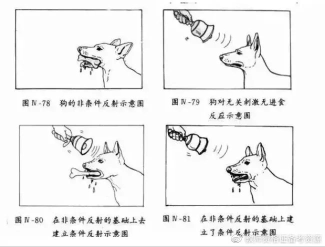 【科目二】上岸干货 | 15个常考经典实验