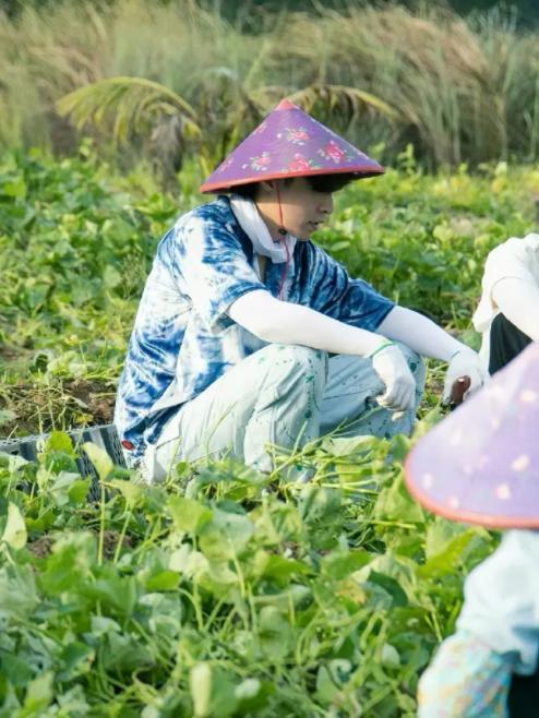 《向往的生活》质量有变化,熟悉的人来了,黄磊终于支棱起来!休闲区蓝鸢梦想 - Www.slyday.coM 《向往的生活》质量有变化,熟悉的人来了,黄磊终于支棱起来!休闲区蓝鸢梦想 - Www.slyday.coM
