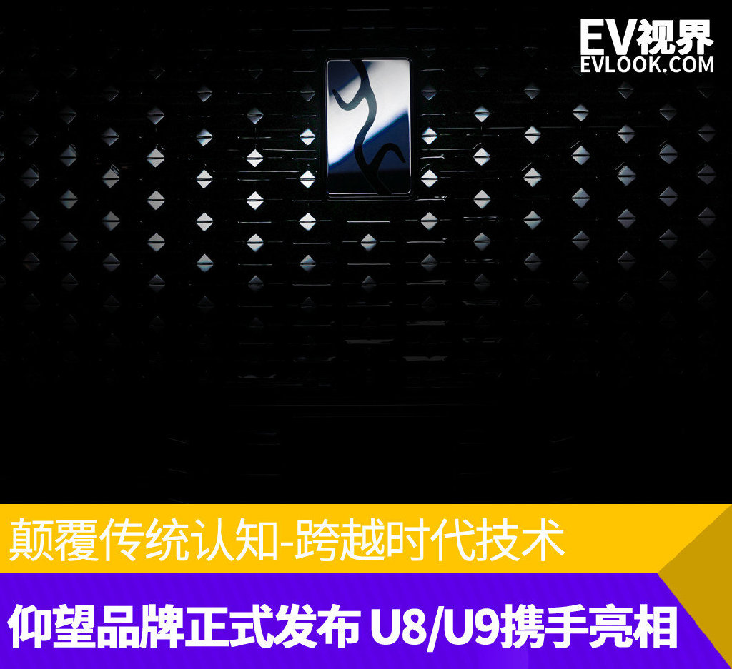 颠覆传统认知-跨越时代技术“仰望”品牌正式发布 U8/U9携手亮相-新浪汽车