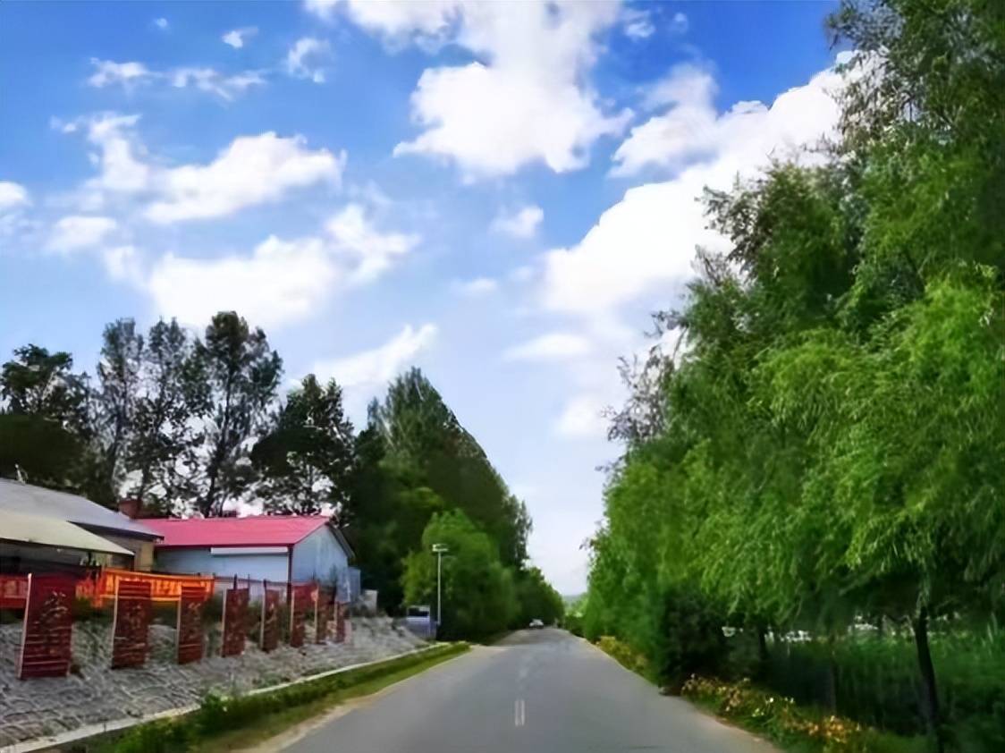 蛟河市白石山镇绘就乡村振兴新画卷