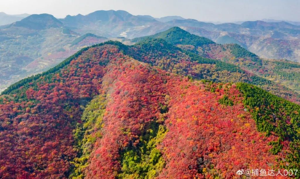 济南免费赏红叶“天花板”，盘山+赏红叶，一条线路就go了！休闲区蓝鸢梦想 - Www.slyday.coM