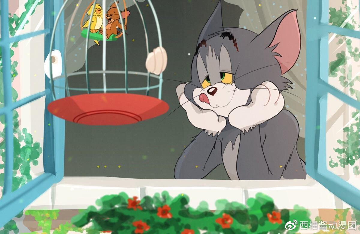只有你想不到,没有猫咪演不了|猫|猫咪|加菲猫_新浪新闻