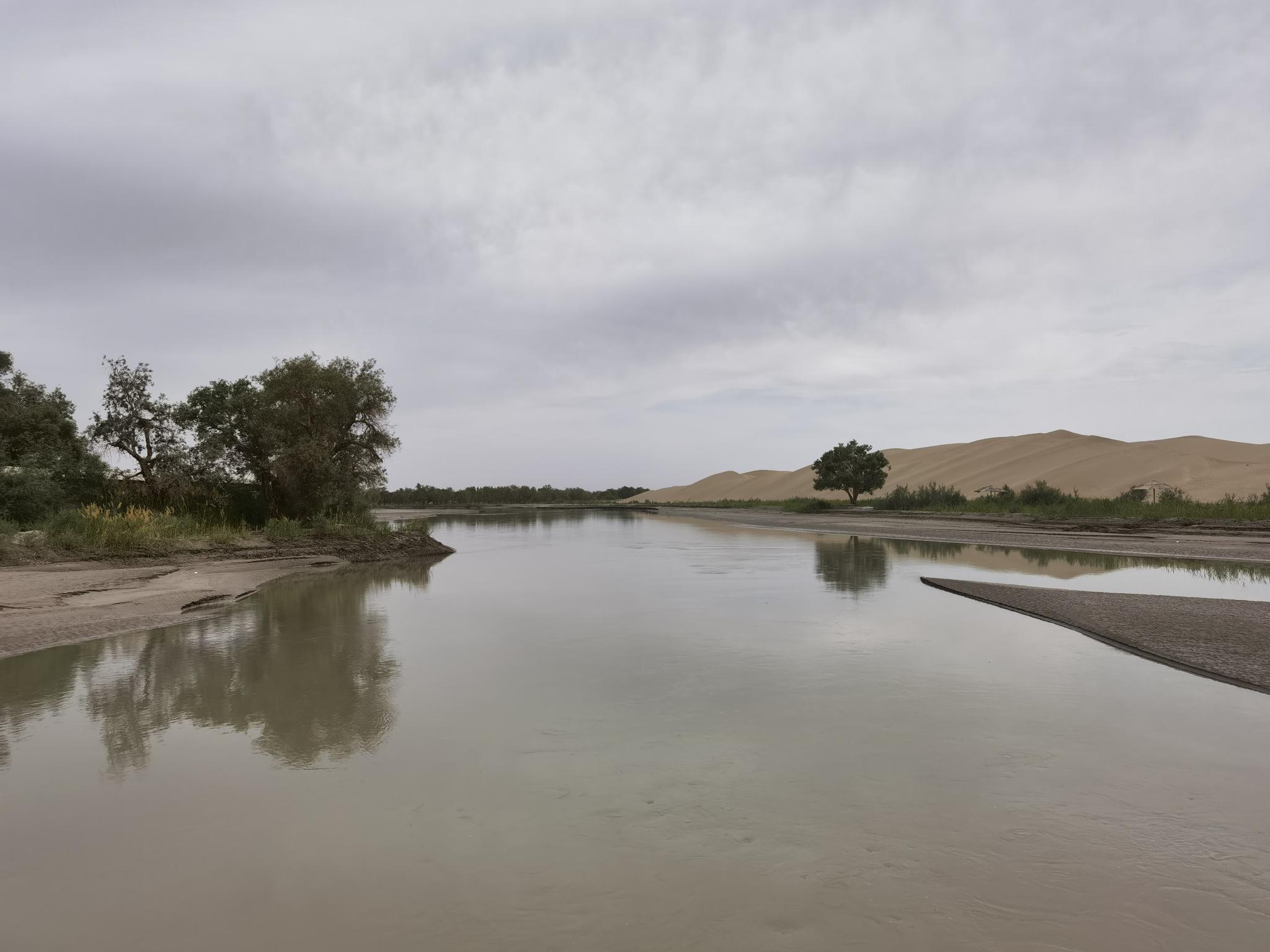 塔里木河的风光