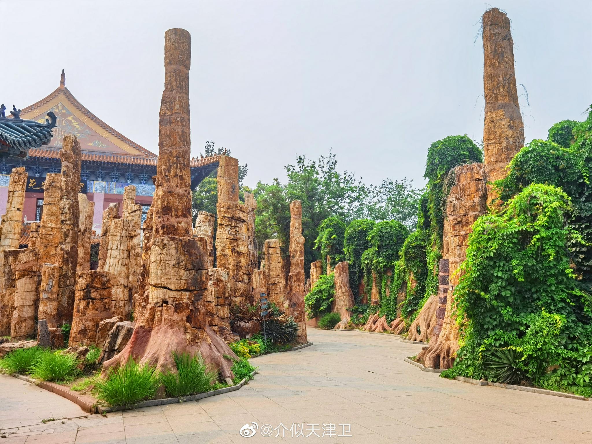 前天下午我们来到了天津宝成博物苑……|天津市_新浪新闻