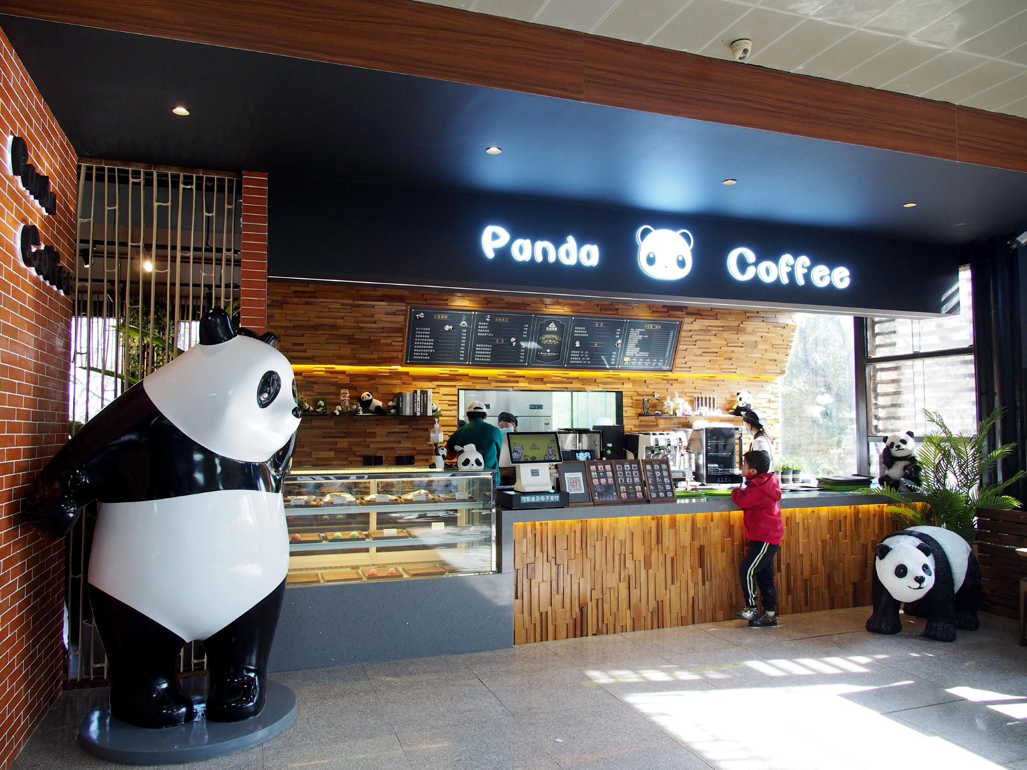 北京动物园网红熊猫主题咖啡店吸引游客