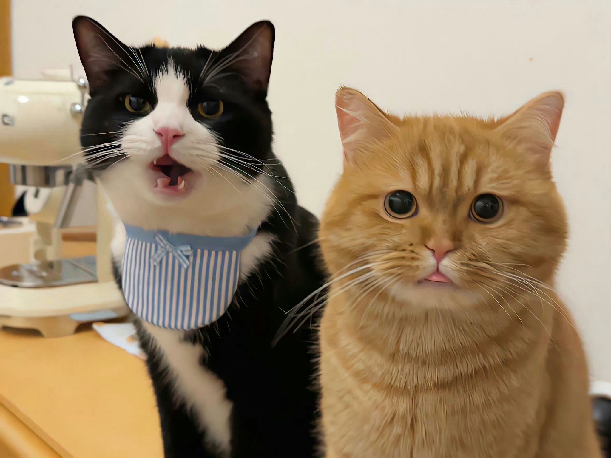 新的电脑ipad壁纸|ipad|壁纸|电脑_新浪新闻