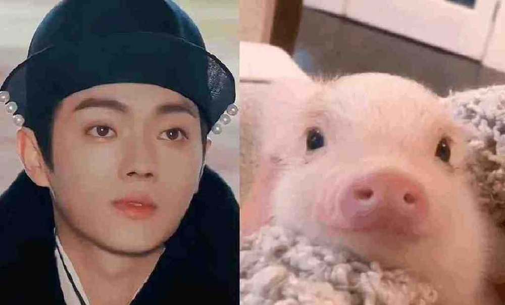 动物系男明星有多离谱？肖战兔系，猴系帅哥多，看到虾系绷不住了休闲区蓝鸢梦想 - Www.slyday.coM