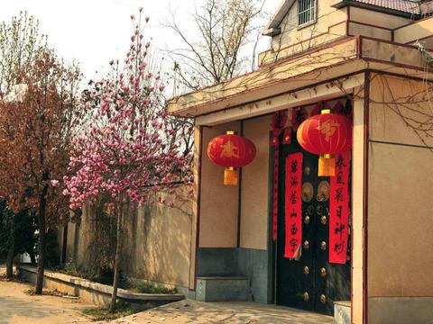 农村老家的房子，才是一个人最后的归宿！|老家|房子|归宿_新浪新闻