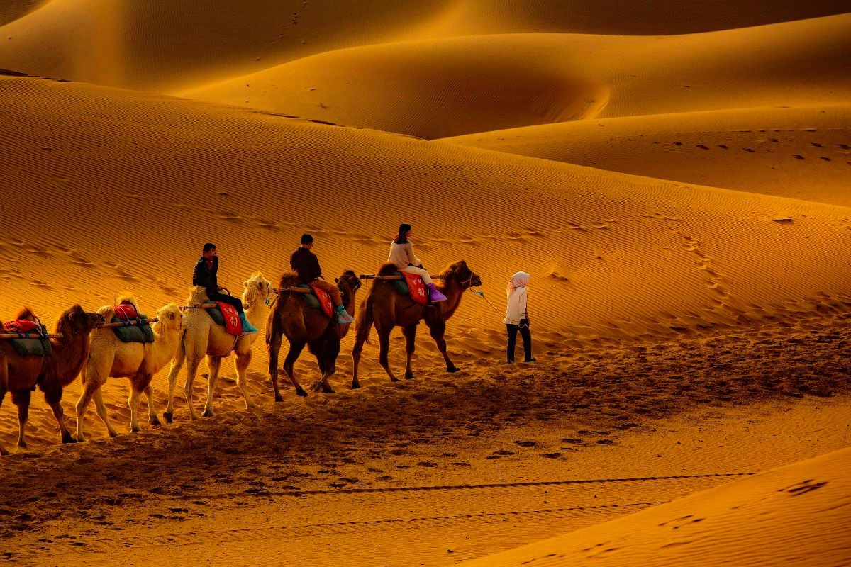 腾格里沙漠_高清图集_新浪网