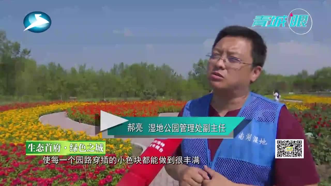 呼和浩特打造的这处占地面积颇大的南湖花田 简直美得不要不要的