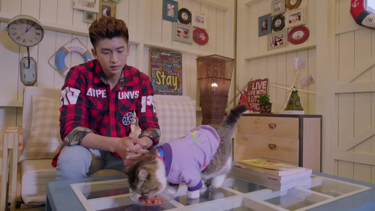 神犬小七被这么漂亮的妹子追求还一脸抗拒鲍宇身在福中不知福