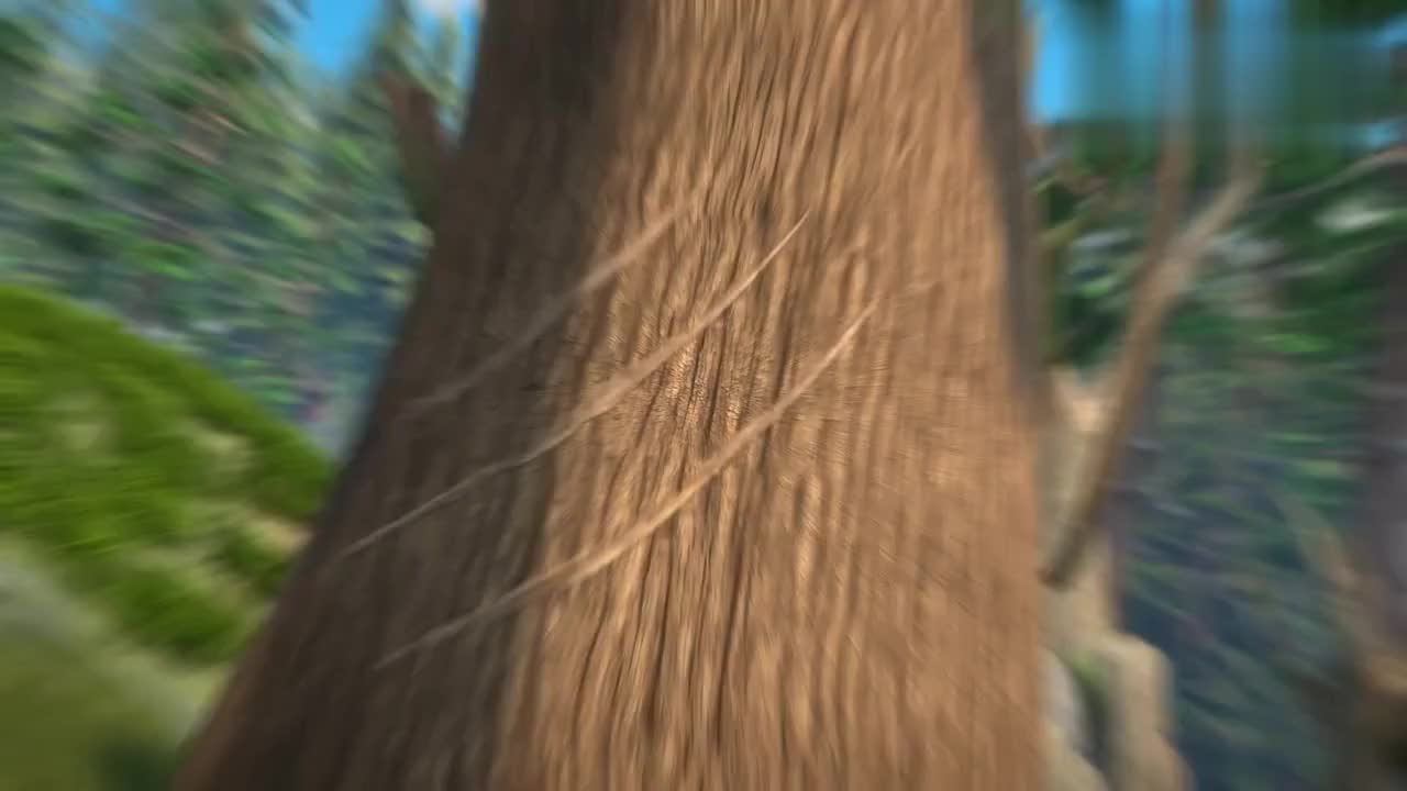 小松鼠发现脚印 森林遇见财狼兄弟 豹王可以控制自然之力 小松鼠发现脚印 森林遇见财狼兄弟 豹王可以控制自然之力