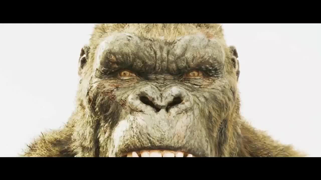 金刚骷髅岛精彩画面骷髅岛靓仔路过