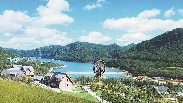 大连甘井子鸡窝乱象如何解决 大招帮你省30%养殖成本