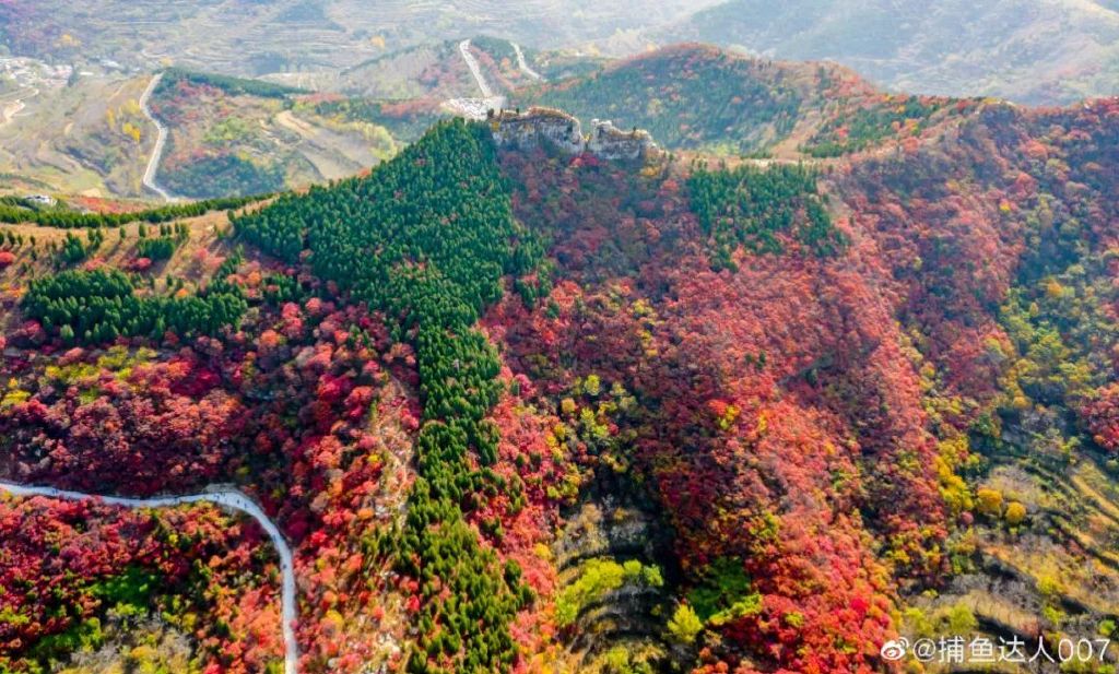 济南免费赏红叶“天花板”，盘山+赏红叶，一条线路就go了！休闲区蓝鸢梦想 - Www.slyday.coM