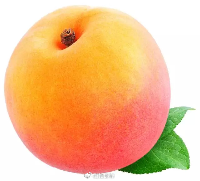 【甜杏采摘】莫贪嘴,待到杏红伸手摘|杏子|南堡|夏果_新浪新闻