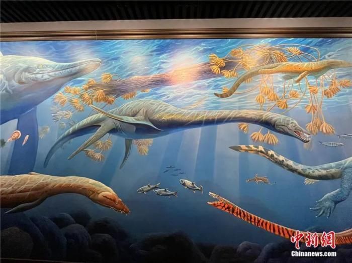 镇馆之宝 | 罗永明：海百合如何见证史前生物从巅峰到灭绝？