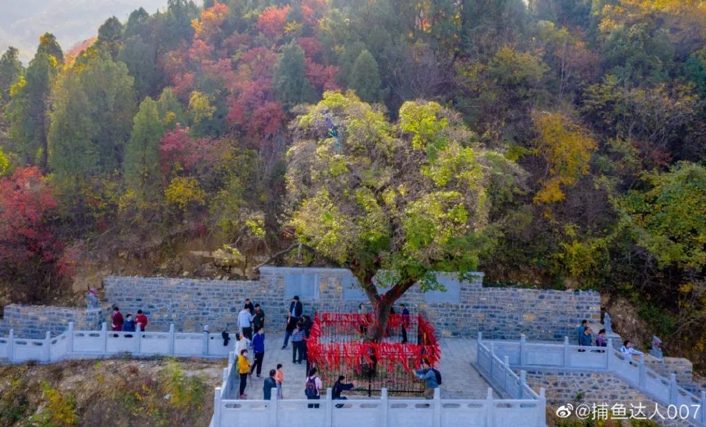 济南免费赏红叶“天花板”，盘山+赏红叶，一条线路就go了！休闲区蓝鸢梦想 - Www.slyday.coM