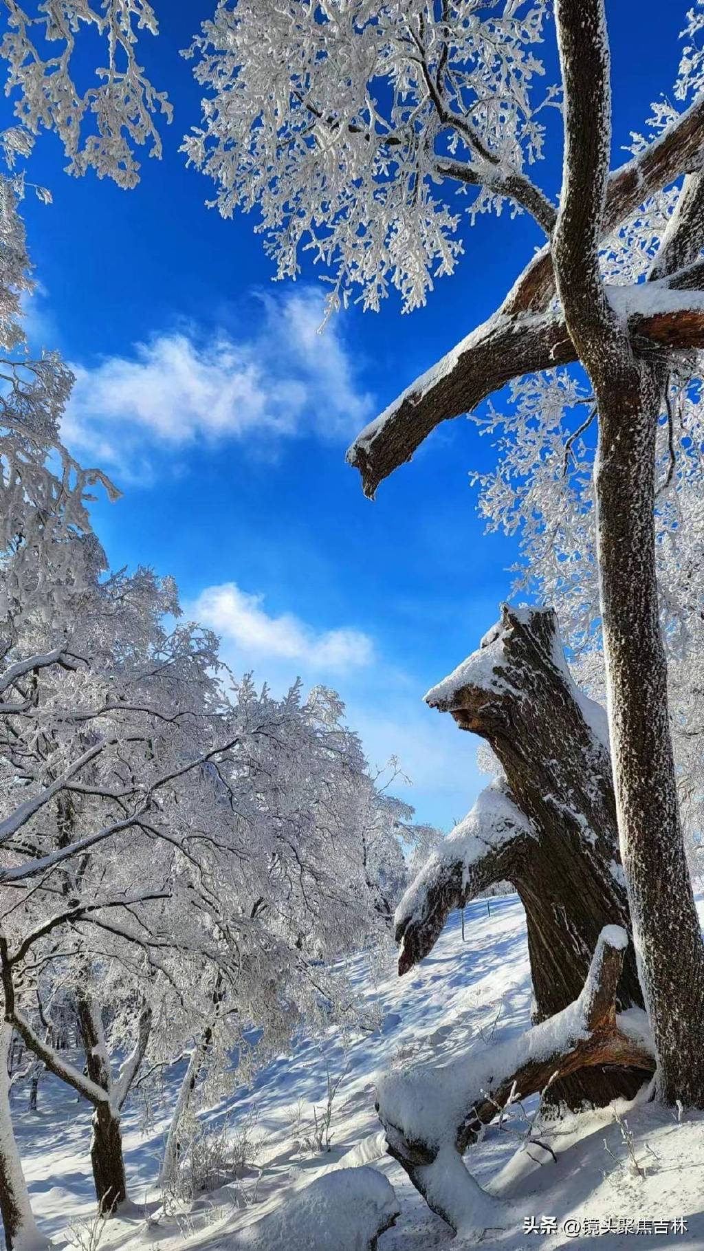 吉林通化四方山雾凇美景醉人宛若仙境