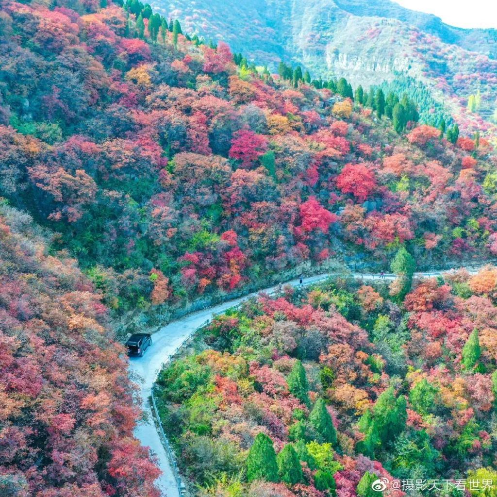 济南免费赏红叶“天花板”，盘山+赏红叶，一条线路就go了！休闲区蓝鸢梦想 - Www.slyday.coM