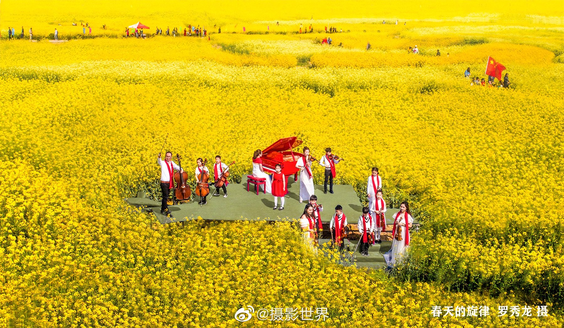 最新 赤紫花9月 最高の新しい壁紙ohd 最新 赤紫花9月 最高の新しい壁紙ohd
