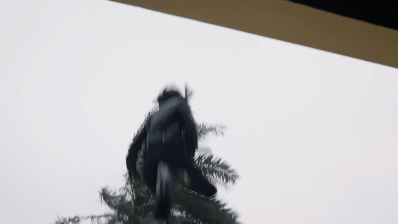 收视率破2，收视排名第二！东方卫视终于迎来了年底“逆袭大剧”休闲区蓝鸢梦想 - Www.slyday.coM