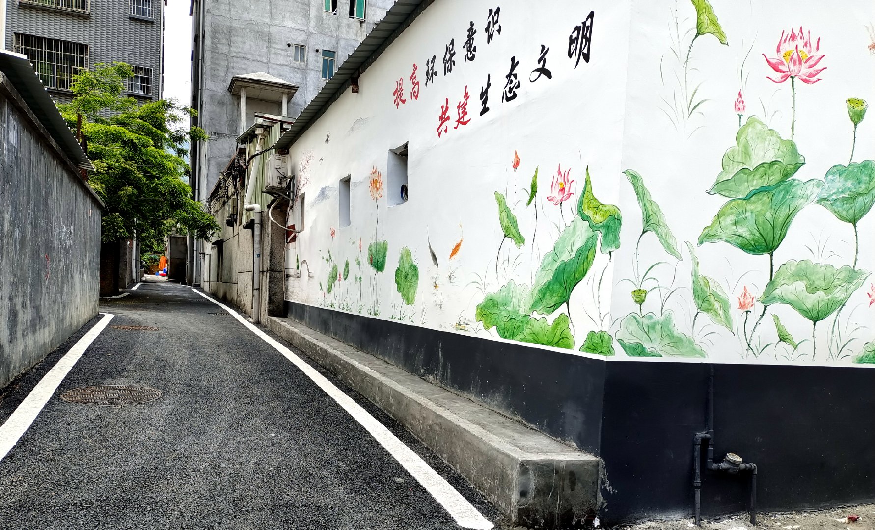 人居环境整治如何除杂草