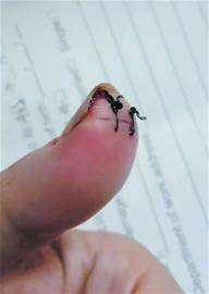 学生突发癫痫 好老师“舍”手相救休闲区蓝鸢梦想 - Www.slyday.coM