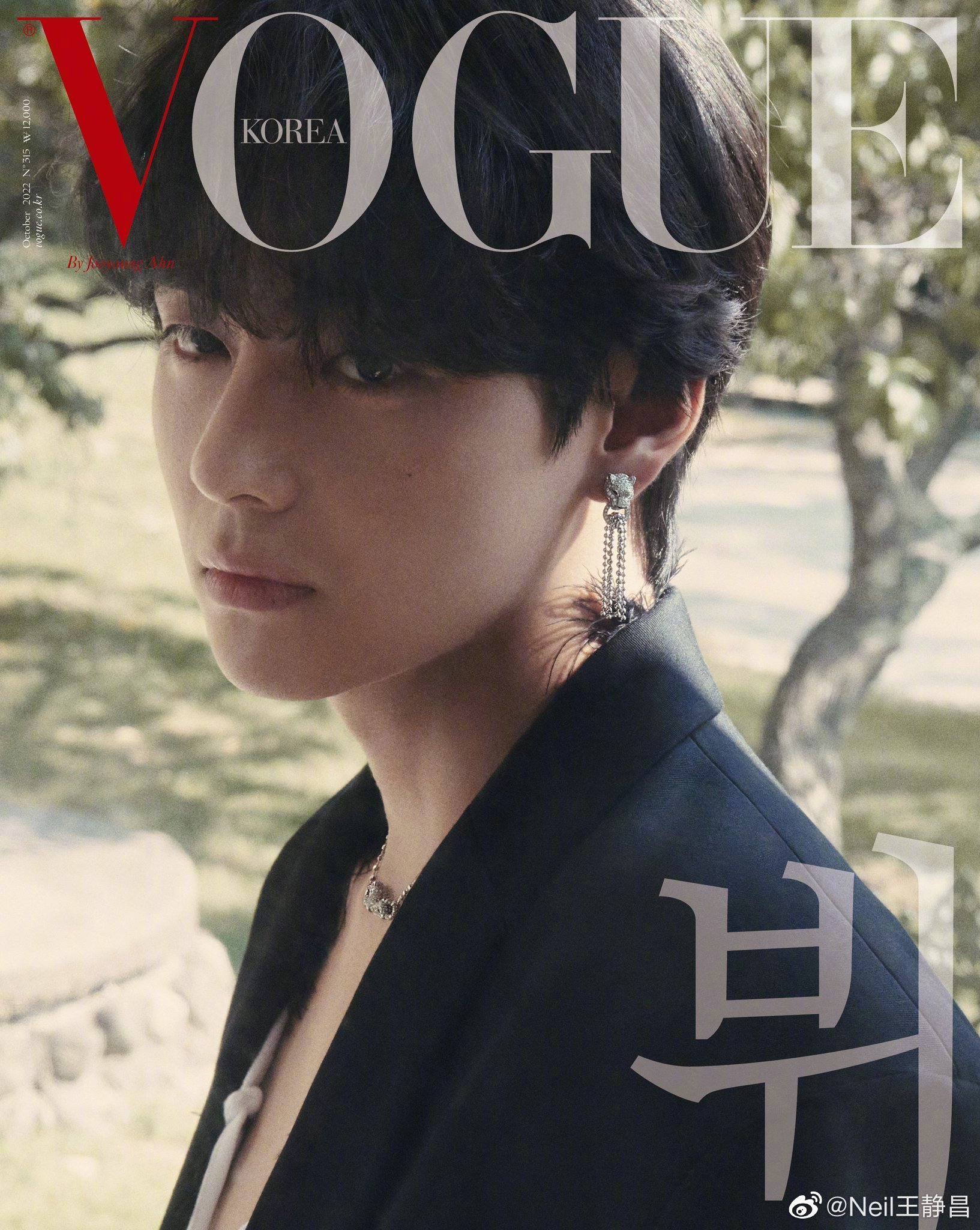 bts-v-vogue-10
