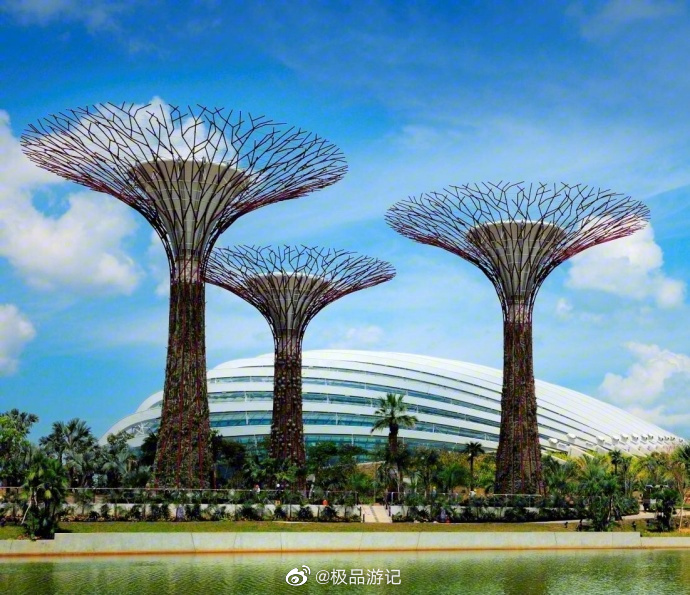 新加坡滨海湾植物园,这里建有多棵巨大的超级树……__财经头条