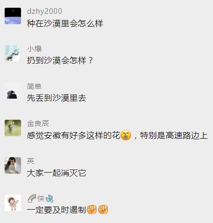 “加拿大一枝黄花”又上热搜！它是啥？外来入侵物种危害有多大？休闲区蓝鸢梦想 - Www.slyday.coM