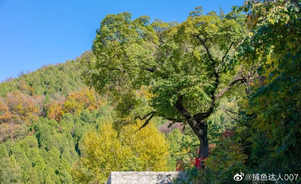 济南免费赏红叶“天花板”，盘山+赏红叶，一条线路就go了！休闲区蓝鸢梦想 - Www.slyday.coM