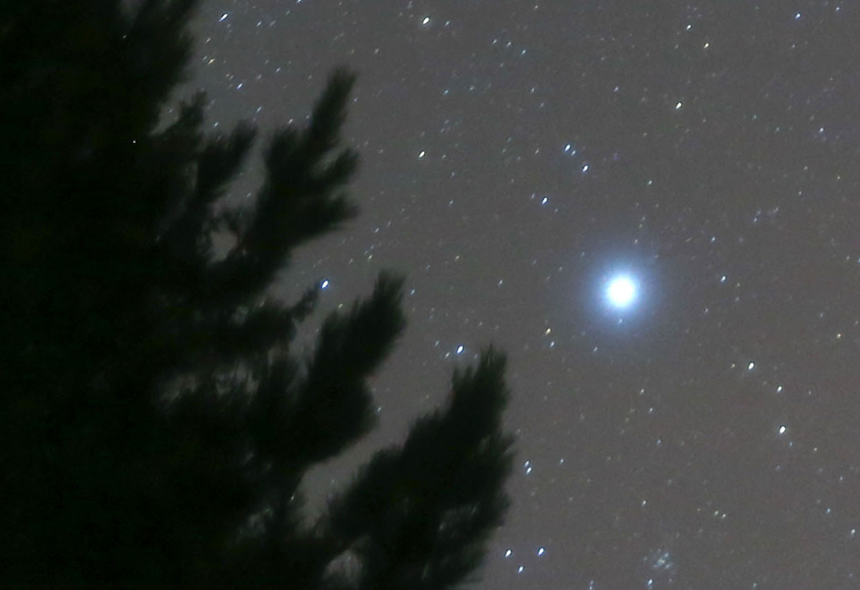 注意观赏天狼星，它是夜空中最亮的恒星