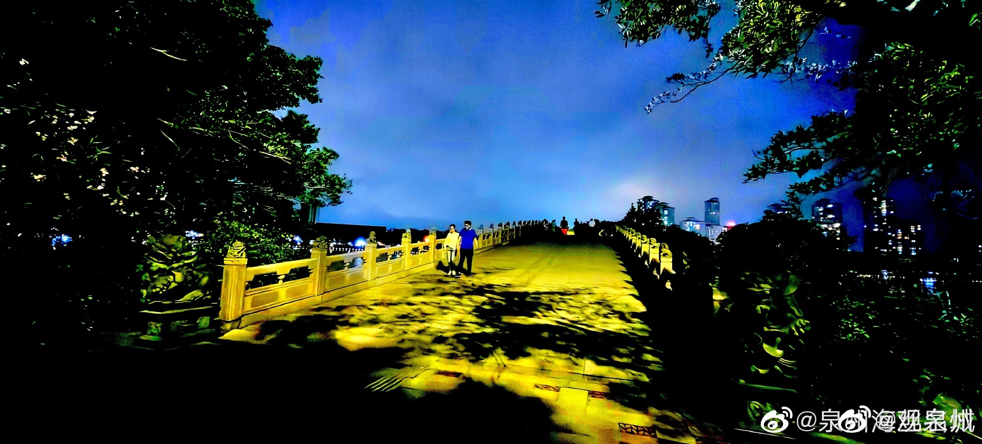 泉州西湖公园夜景图片