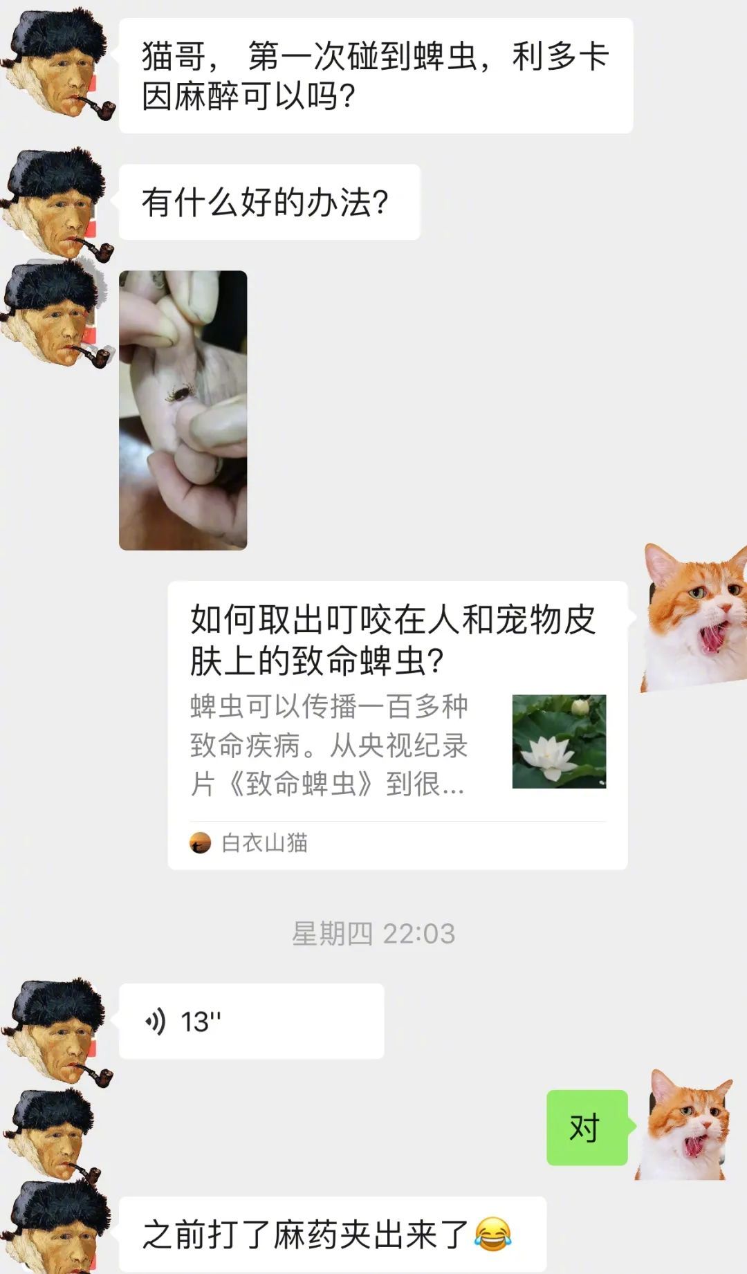 蜱虫为何会使人生病?被叮咬后该如何处理才安全?及时正确取出蜱虫!休闲区蓝鸢梦想 - Www.slyday.coM 蜱虫为何会使人生病?被叮咬后该如何处理才安全?及时正确取出蜱虫!休闲区蓝鸢梦想 - Www.slyday.coM