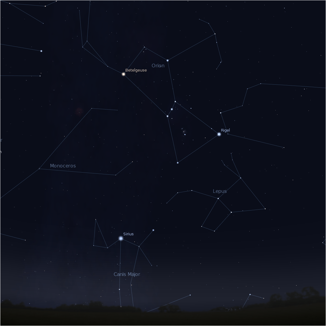 注意观赏天狼星，它是夜空中最亮的恒星