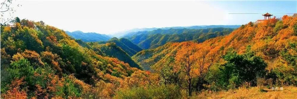 黄龙的秋天已送达,满山红叶惊艳来袭……休闲区蓝鸢梦想 - Www.slyday.coM 黄龙的秋天已送达,满山红叶惊艳来袭……休闲区蓝鸢梦想 - Www.slyday.coM