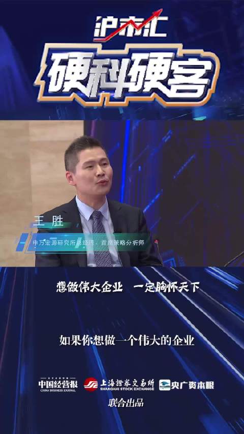 视频|申万宏源王胜:想成就伟大的企业,企业家一定要胸怀天下_新浪新闻
