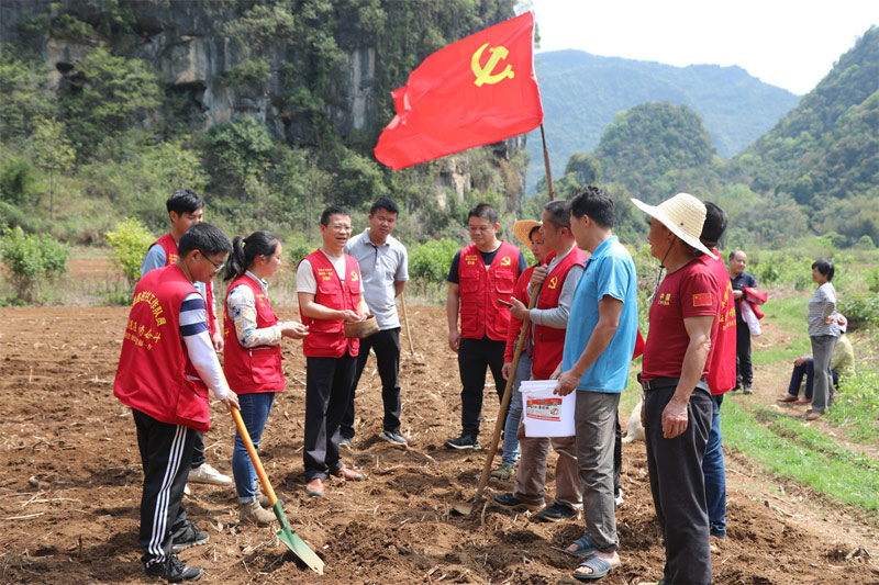 永福县党员送技下乡助力春耕播种