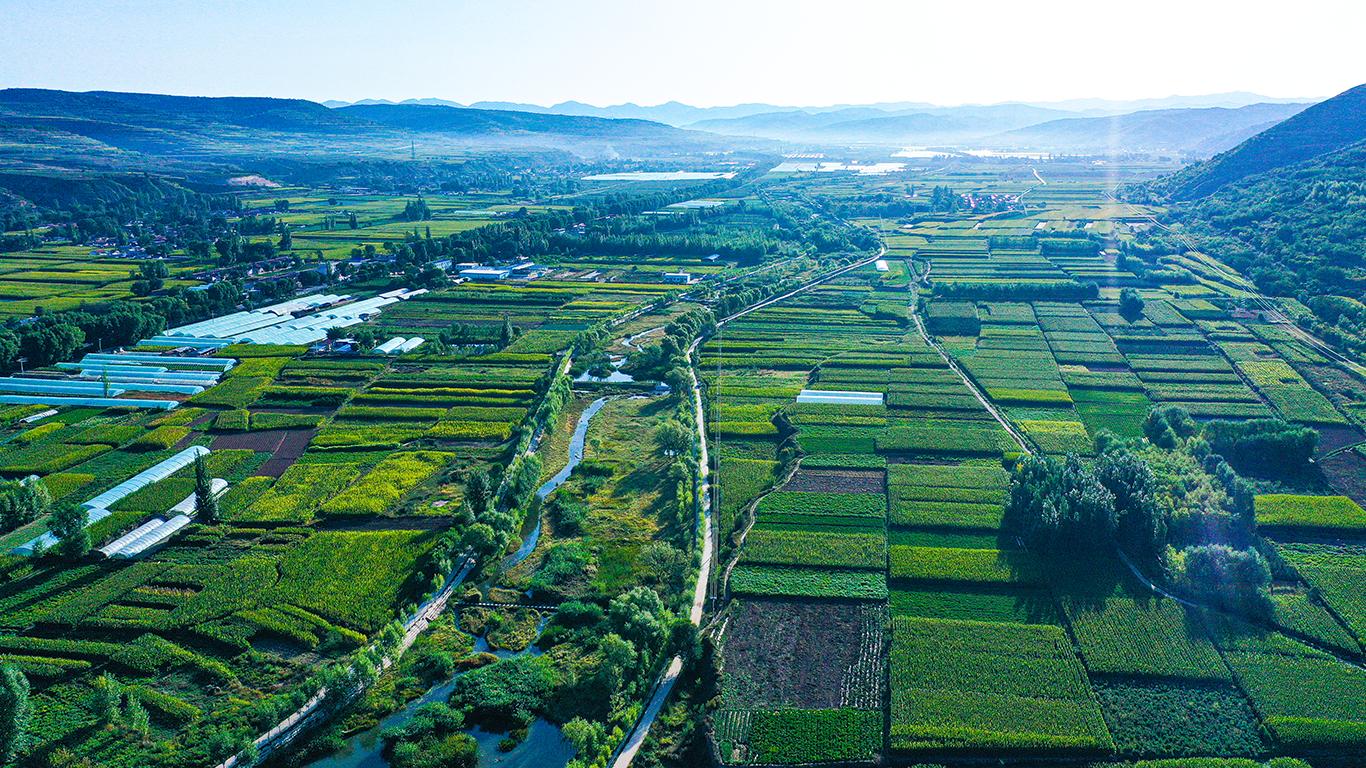 走进宁夏固原市隆德县沙塘镇现代农业产业园,连片的蔬菜拱棚,犹如蓝色