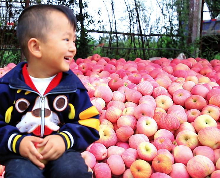 宝鸡村庄里的丰收笑脸休闲区蓝鸢梦想 - Www.slyday.coM