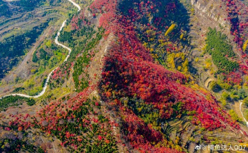 济南免费赏红叶“天花板”，盘山+赏红叶，一条线路就go了！休闲区蓝鸢梦想 - Www.slyday.coM