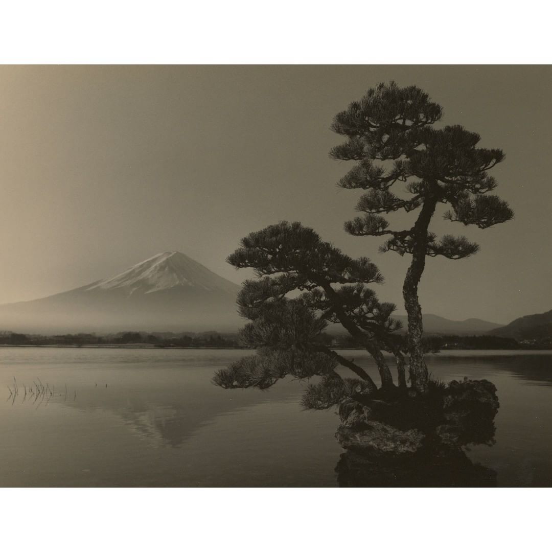 禅意的东方美学 | 日本摄影大师山本昌男(masao yamamoto)_高清图集