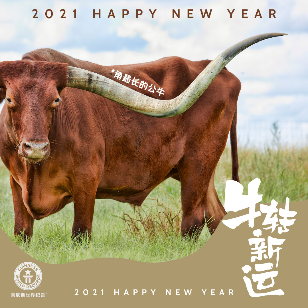 吉尼斯世界纪录祝大家新春快乐,牛转新运!